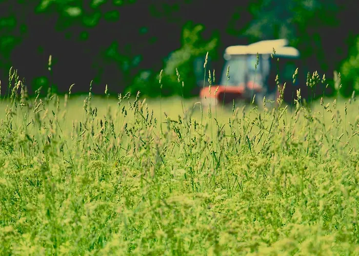 krevet i doručak Metsara 3*